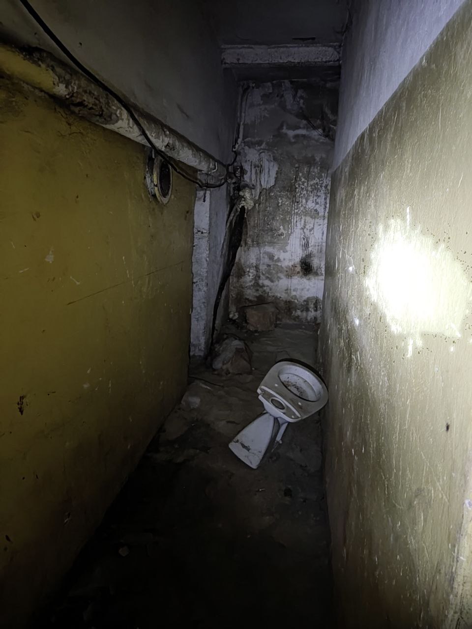 Коридор с унитазом